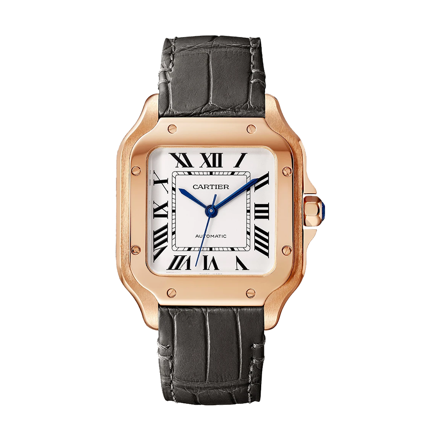 Cartier Santos De Cartier Santos de Cartier watch