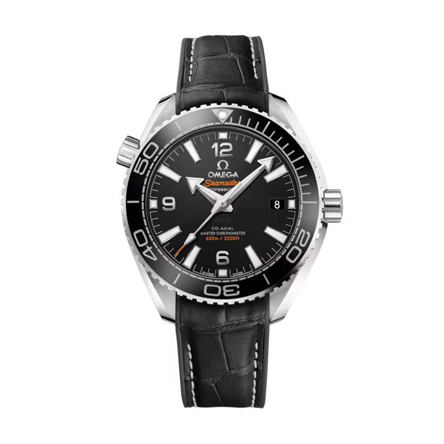 Omega Seamaster Seamaster Planet Ocean 600M