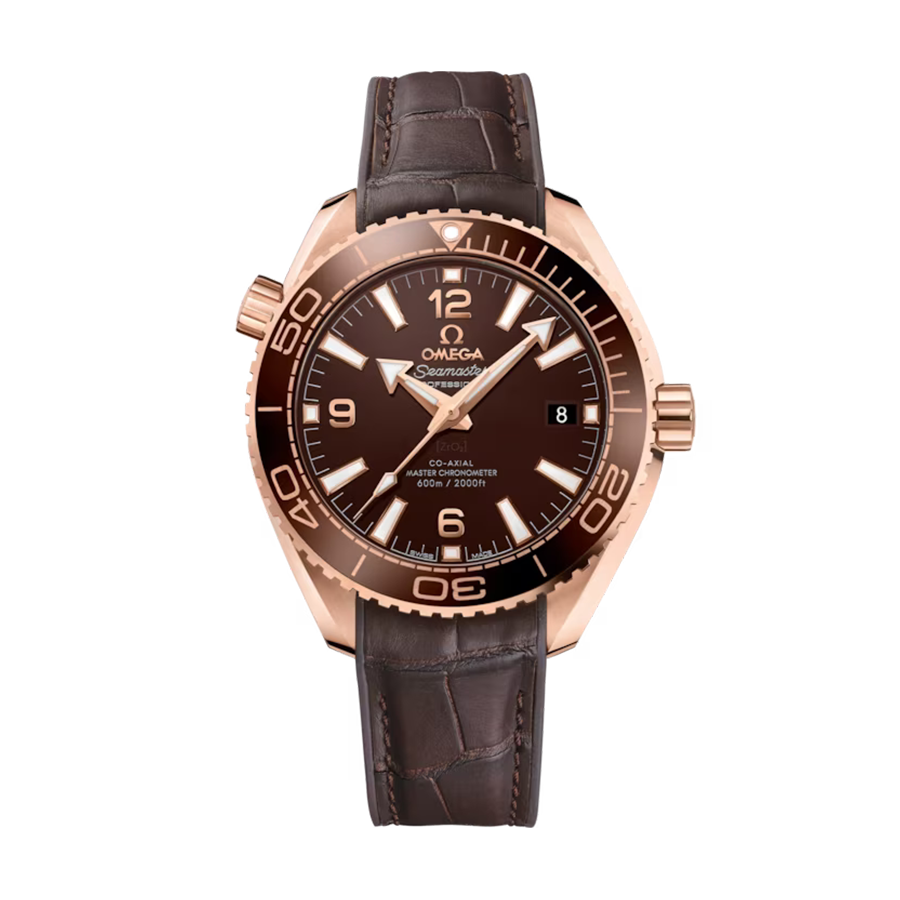 Omega Seamaster Seamaster Planet Ocean 600M