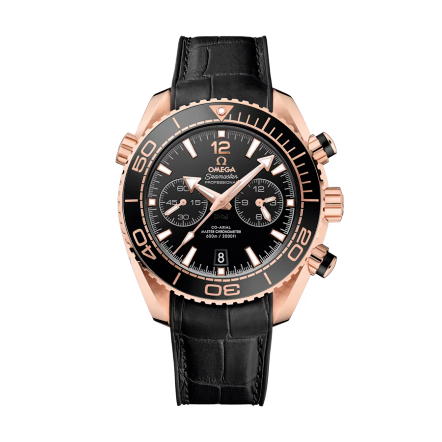 Omega Seamaster Seamaster Planet Ocean 600M