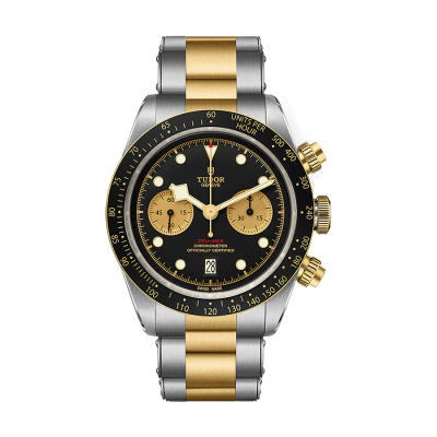 Tudor Black bay