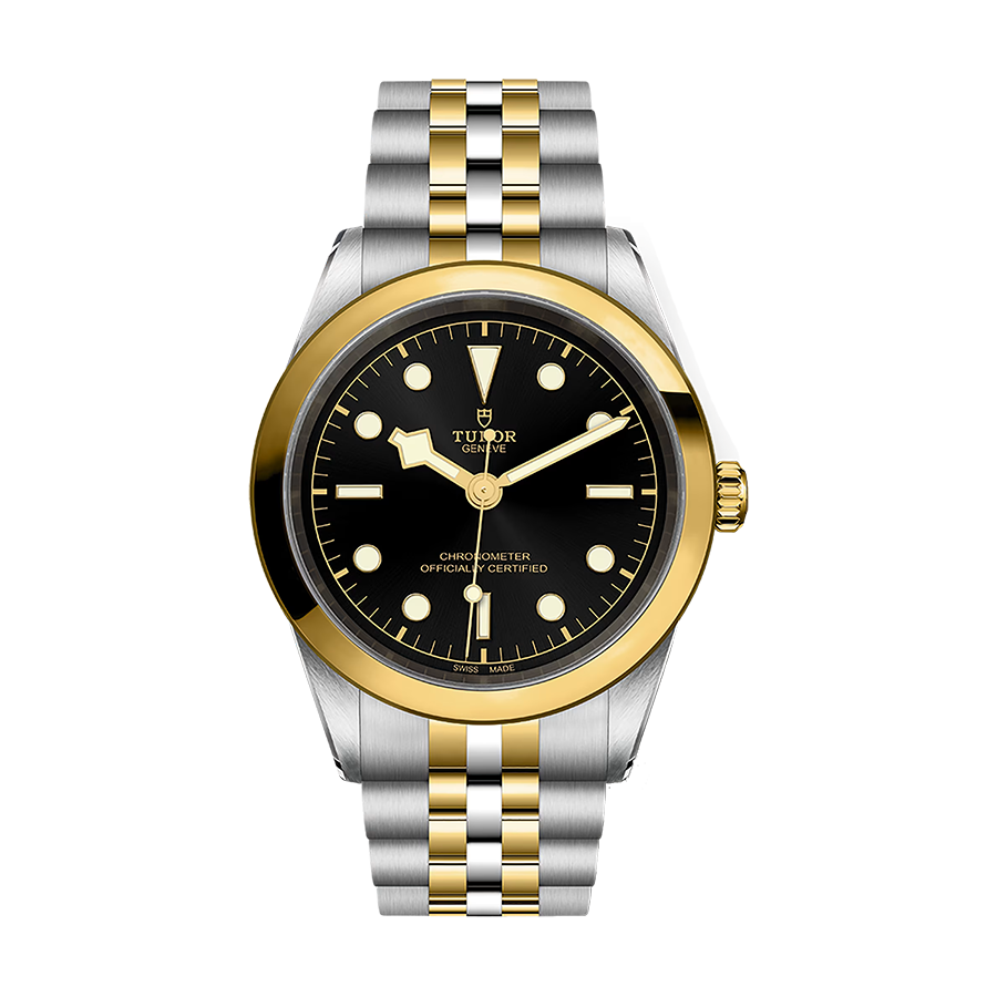 Tudor Black bay Black Bay 41 S&G