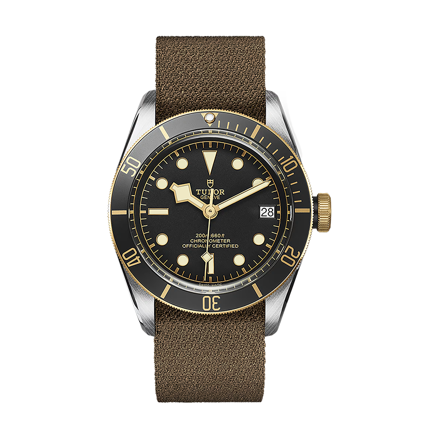 Tudor Black bay Black Bay S&G