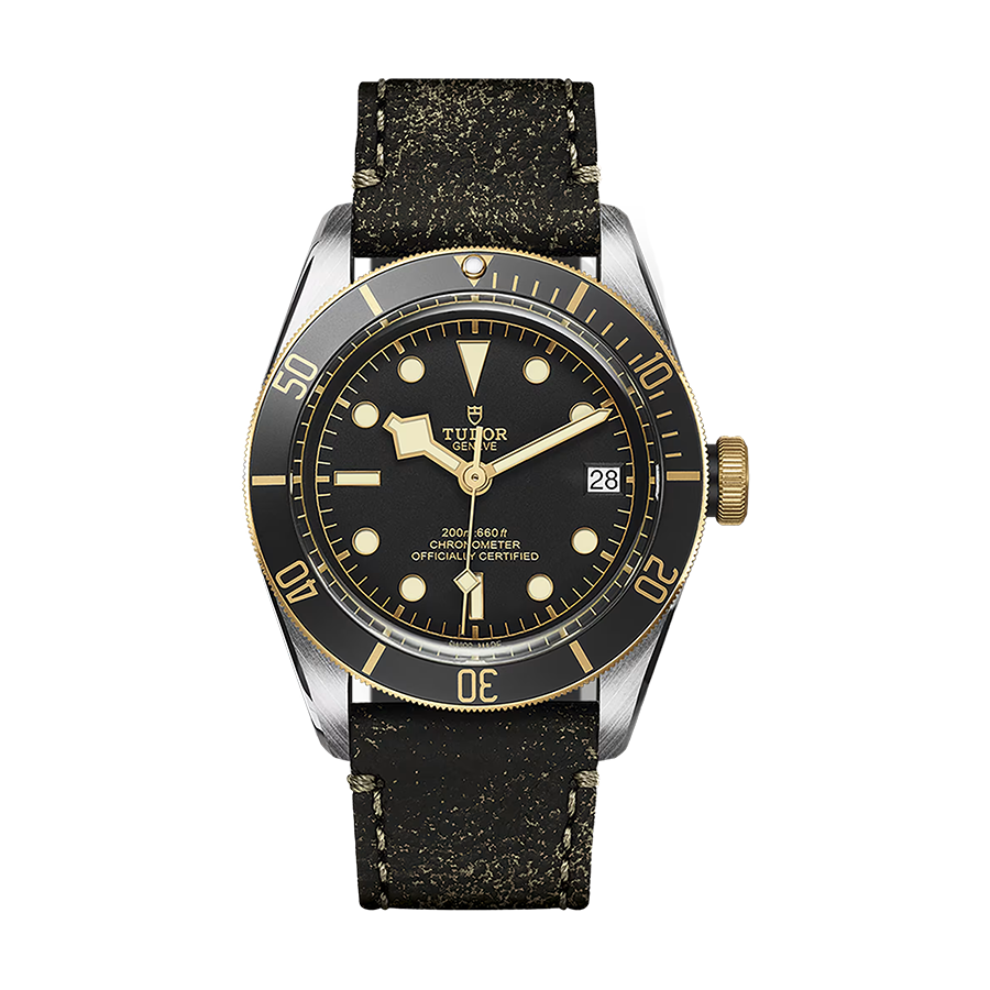 Tudor Black bay Black Bay S&G