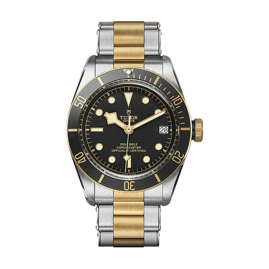 Tudor Black bay Black Bay S&G